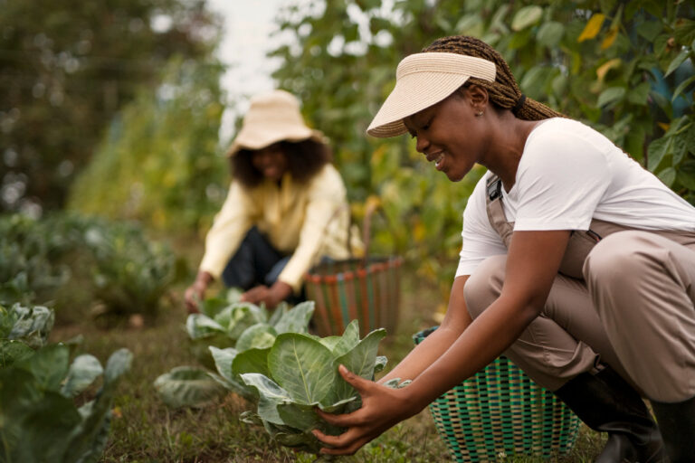 Call for Application: UNITAR and BADEA Phase III Coaching and Mentoring Programme for Women and Youth Agripreneurs