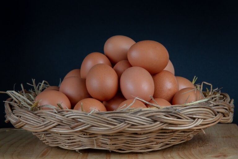 Common 5 Myths and Realities About Eggs Consumption: Celebrating the Power of the Perfect Protein on World Egg Day
