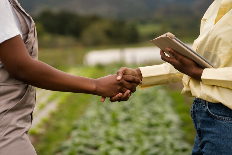 Request for Expression of Interest: Strengthening the Macadamia Nut Export value chain in Rwanda