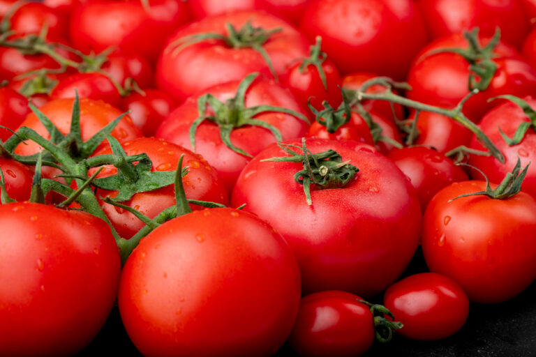 Top 10 Tomato Varieties to Grow