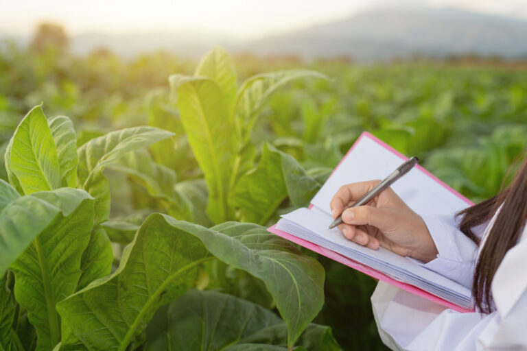 Call for Application: British Council Launches Climate Skills Global Collaboration Grants 2025 — £85,000 for Joint Green Entrepreneurship Projects