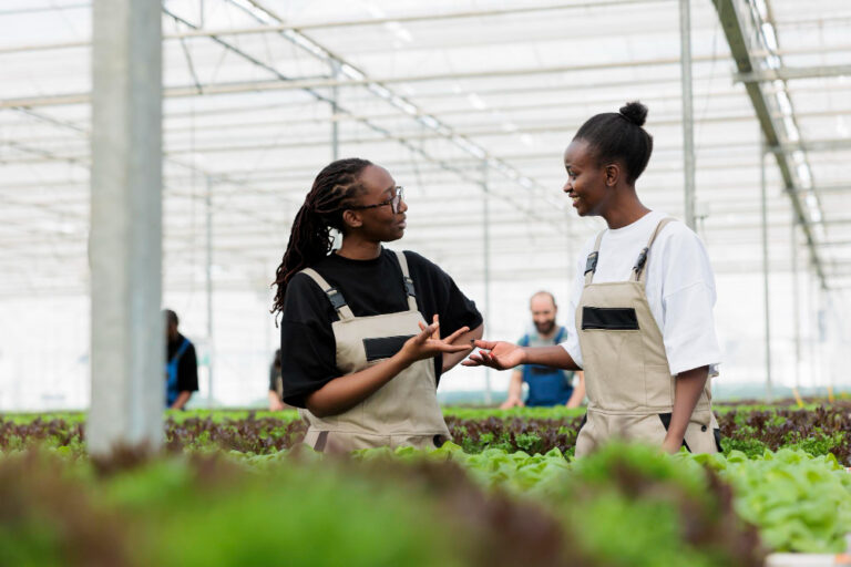 Call For Applications: Seeding The Future Global Food System Challenge