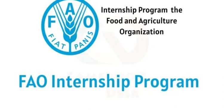 FAO Internship Program: How to Apply (Up to USD 700 monthly Stipend)