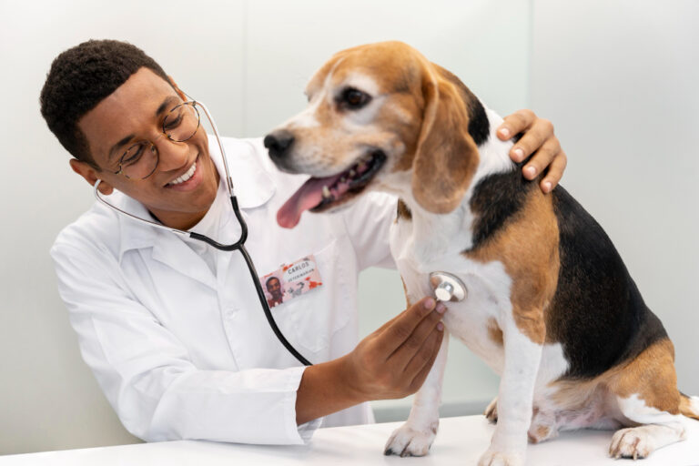 Hiring Now: Veterinary Clinician at Alpha Veterinary  Clinic