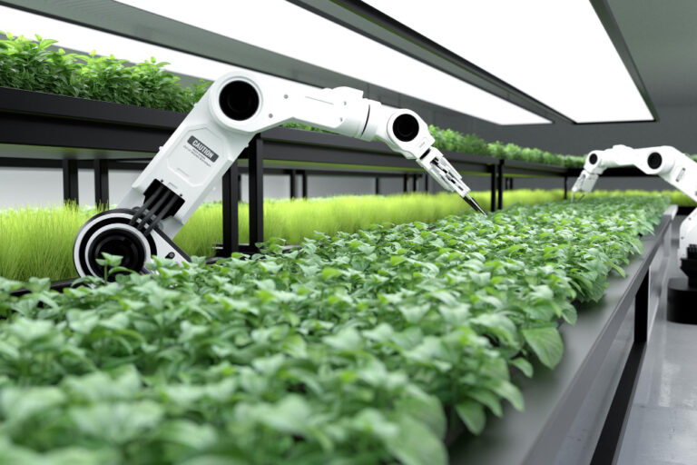 Hydroponic farming: 5 Basic things to know
