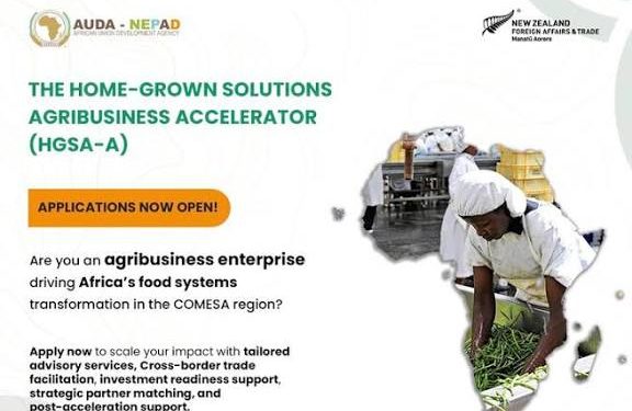 Call for Applications: AUDA-NEPAD Home-Grown Solutions Agribusiness Accelerator Program 2026
