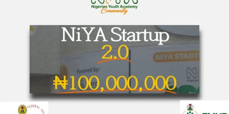 Call For Applications:  NiYA Startup Pitch 2.0 (Up To N100 Million in Funding) 