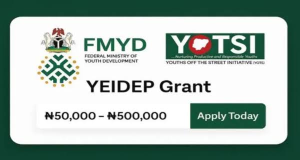 Call for Applications: FG YEIDEP N500K Grant 2025 Batch B