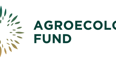 Agroecology Fund (AEF) is Hiring a Consultant as Communications Specialist by February 2026
