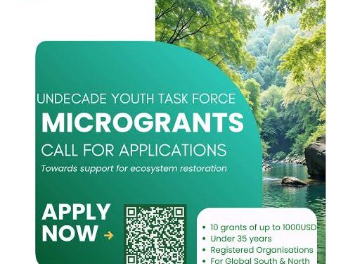 Application Open: UN Decade Youth Task Force Microgrants 2026