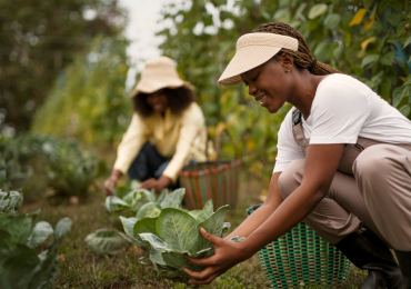 In-Country YouthADAPT Challenge 2025 (Africa)