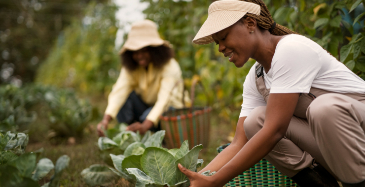 In-Country YouthADAPT Challenge 2025 (Africa)
