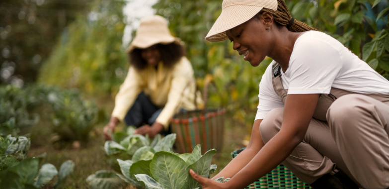 Special Research Grants Program Potato Breeding Research (US)