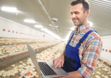 Job Vacancy: Poultry Operations Officer at Eastern Plains Integrated Farms Limited