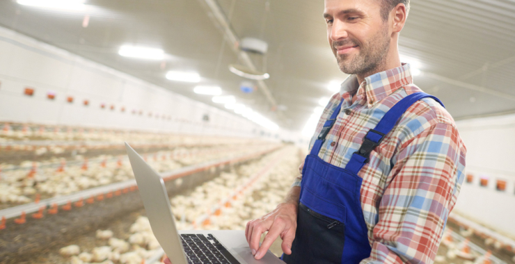 Job Vacancy: Poultry Operations Officer at Eastern Plains Integrated Farms Limited
