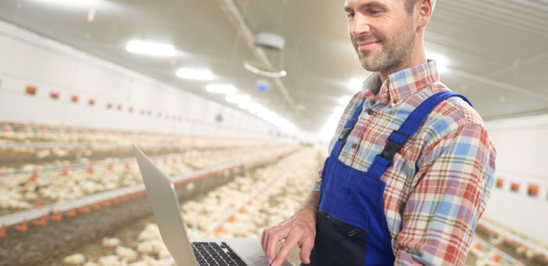 Job Vacancy: Poultry Operations Officer at Eastern Plains Integrated Farms Limited