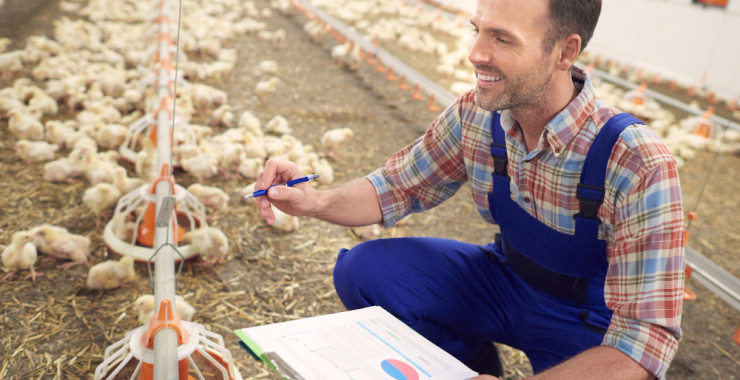Hiring Now: Farm Supervisor (Poultry Production) at Regal Bablo Farms