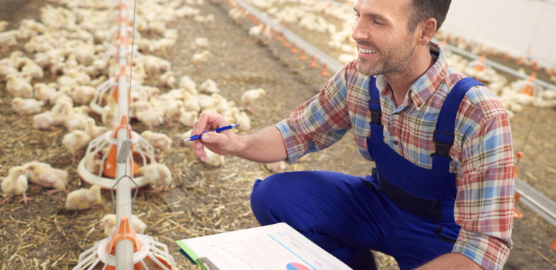 Chi Farms Limited Graduate Trainee Programme 2026