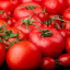 Top 10 Tomato Varieties to Grow For A Profitable Tomato farming Business